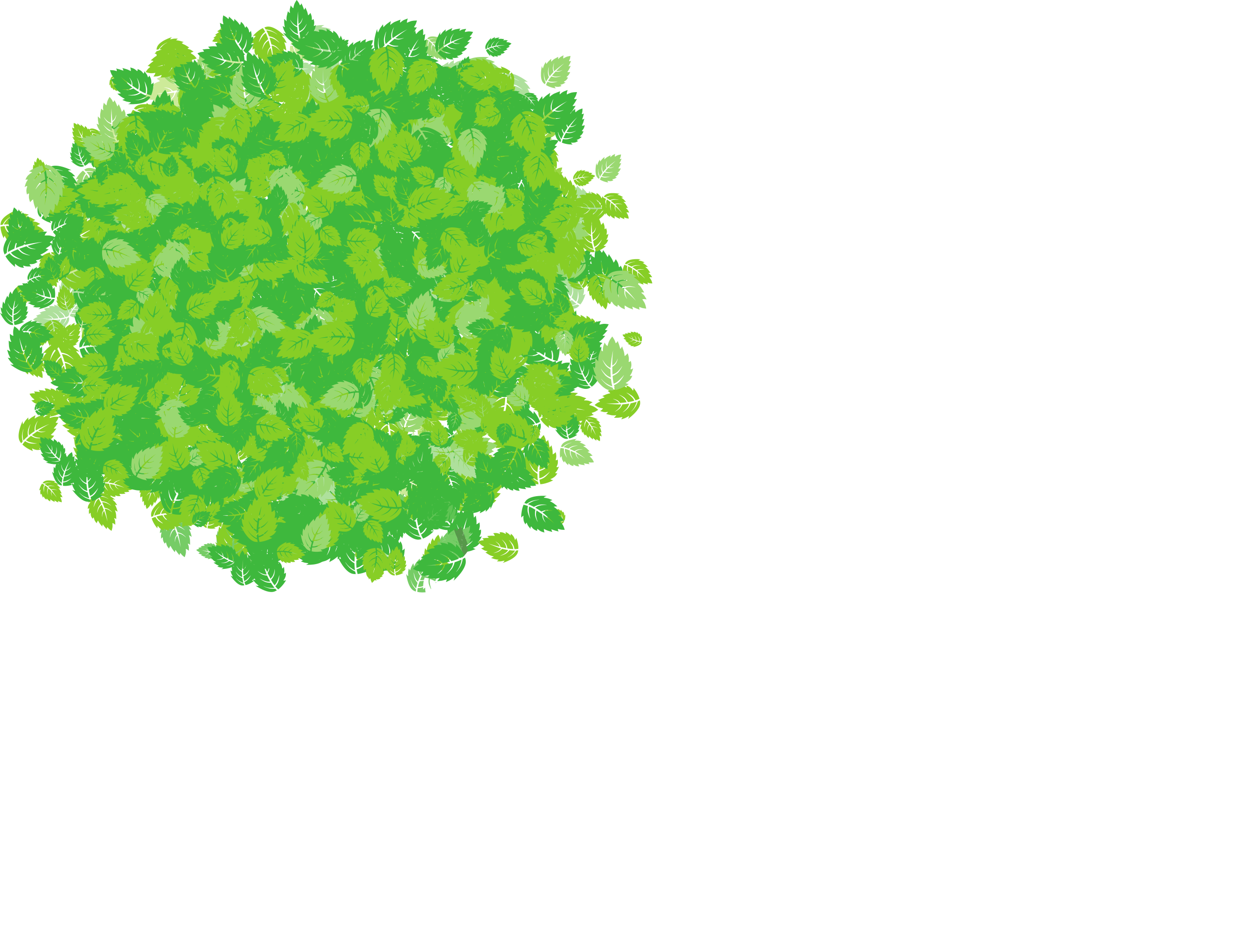 Buscott Woodworking Ltd